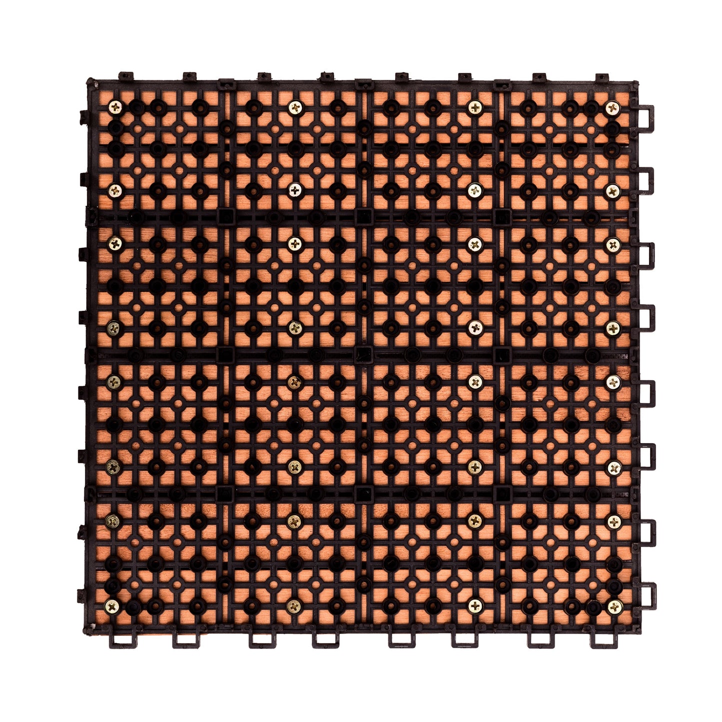 20480549