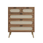 Modern 5-Drawer Accent Storage Cabinet for Living Room, Bedroom, Dining Room, or Study – Walnut MDF