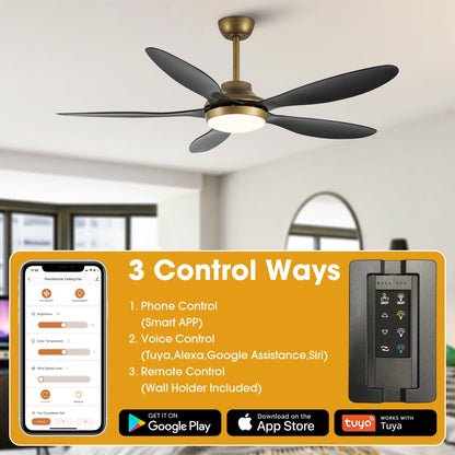 52" Punjab Smart Fan with LED Light