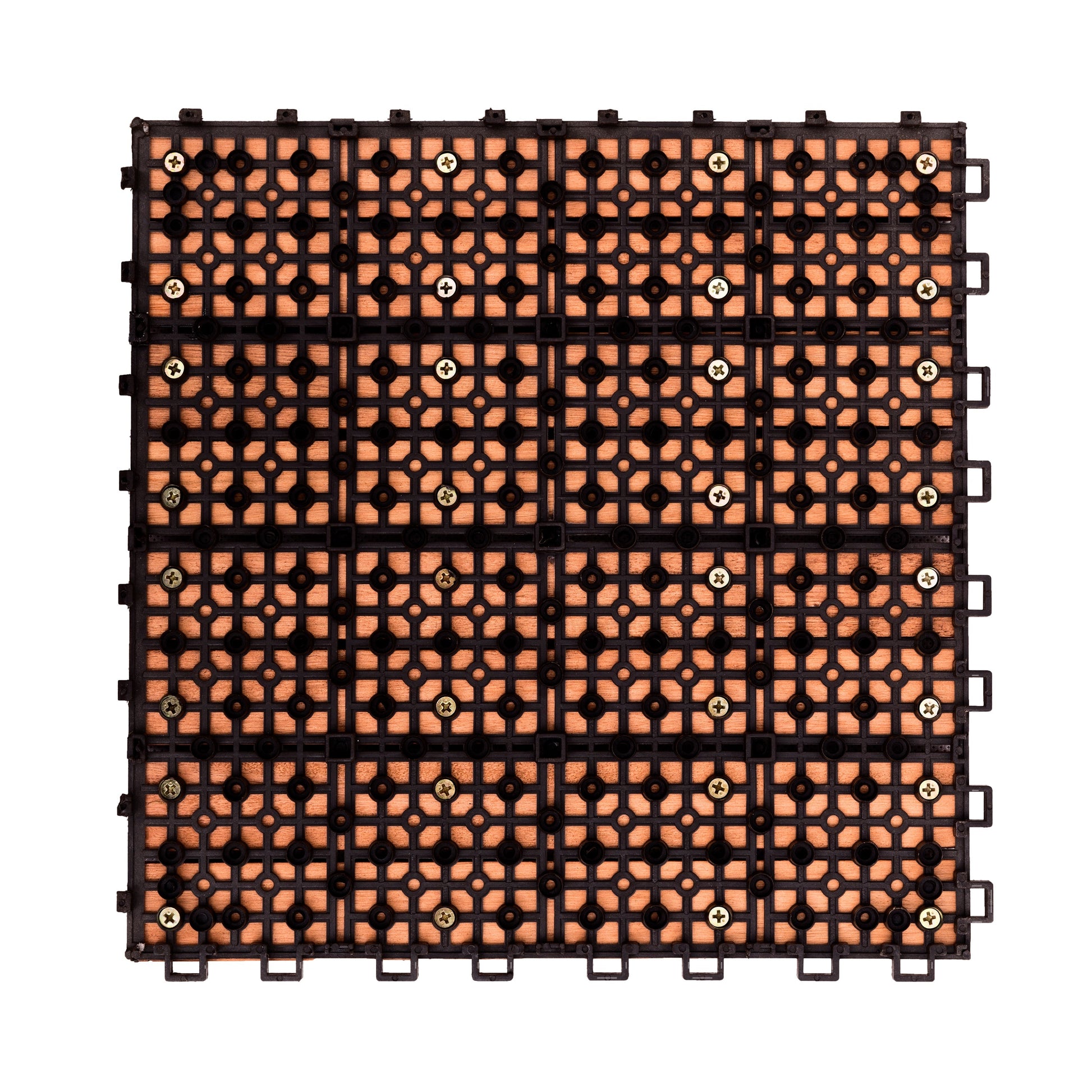 20480549