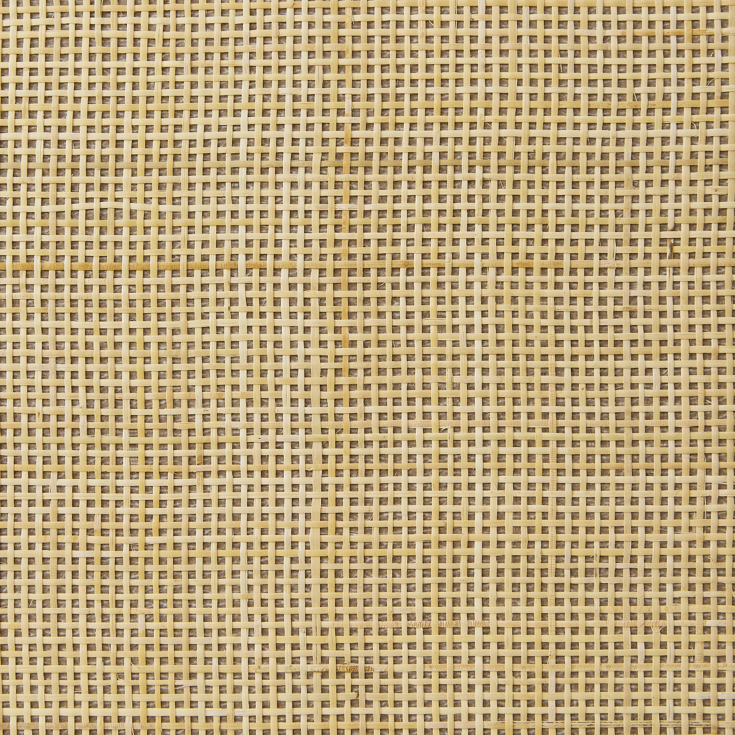 20000676