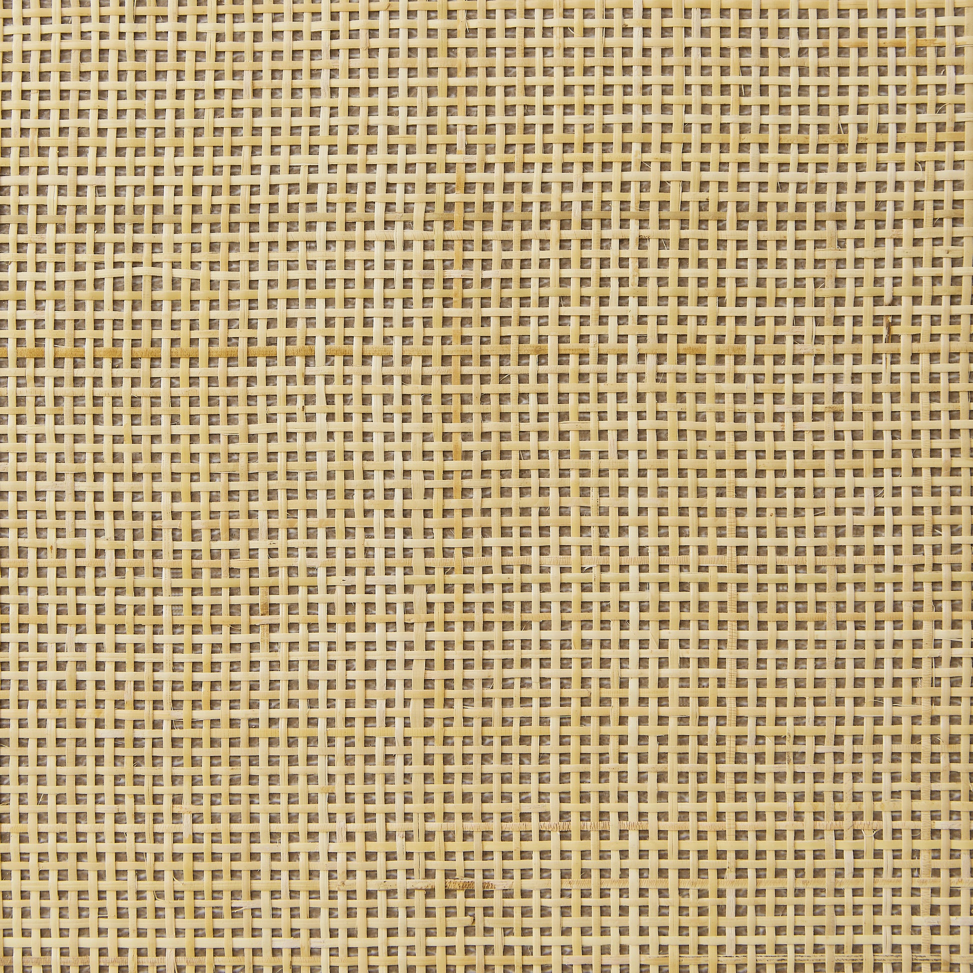 20000676