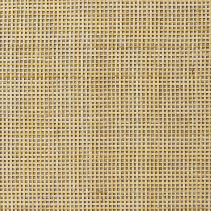 20000676